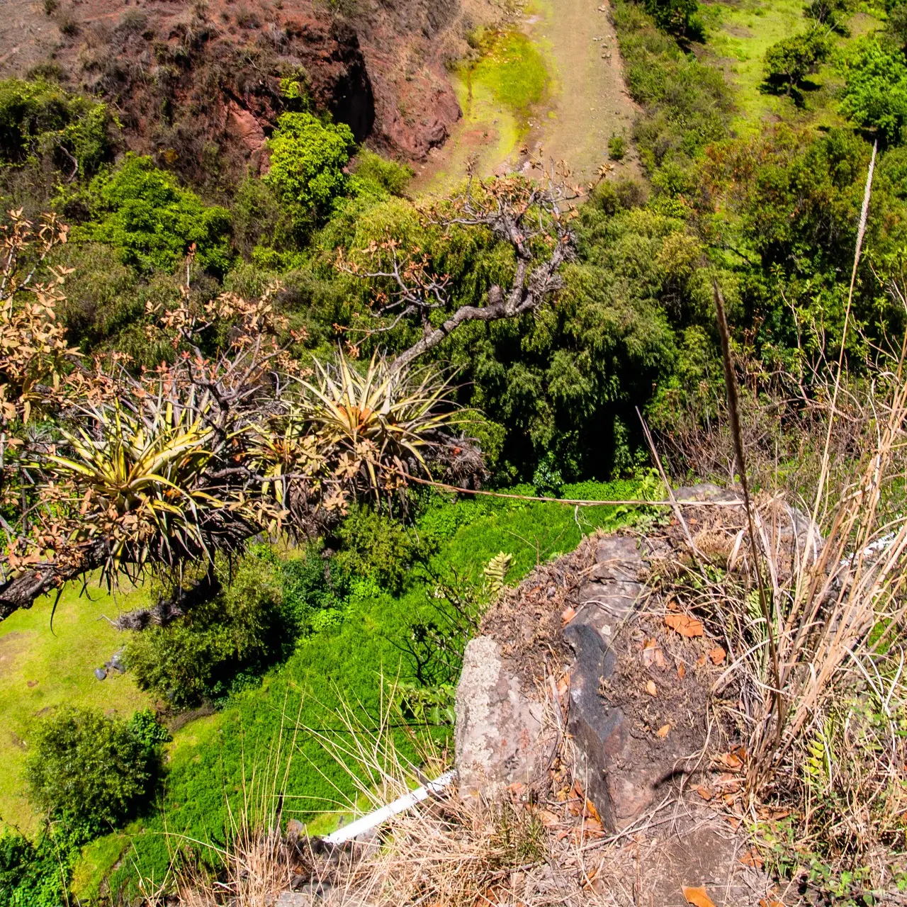 Manantiales en San Pedro Atlixco - 14 de Junio del 2012 | Colecciones multimedia | Atlixco.social