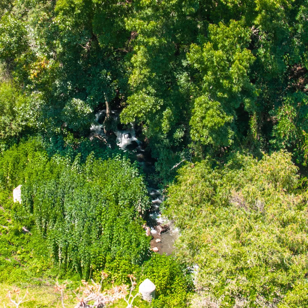 Manantiales en San Pedro Atlixco - 14 de Junio del 2012 | Colecciones multimedia | Atlixco.social