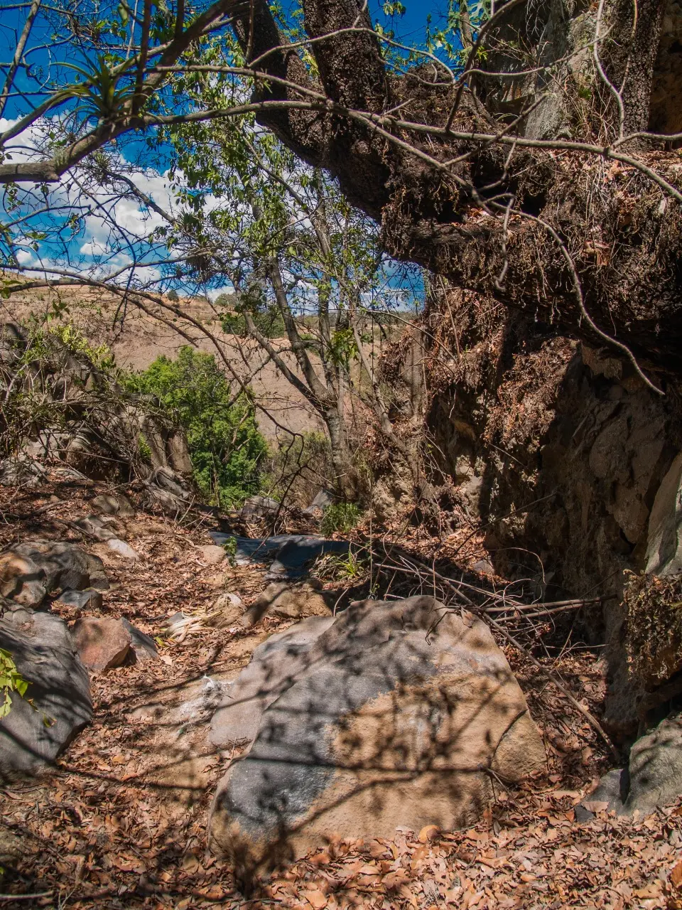 Manantiales en San Pedro Atlixco - 14 de Junio del 2012 | Colecciones multimedia | Atlixco.social