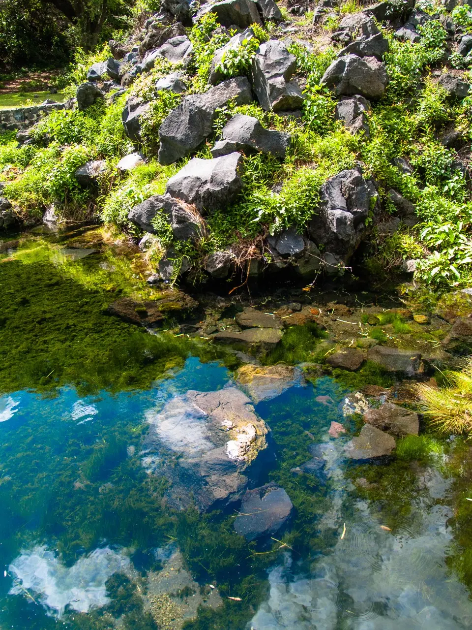 Manantiales en San Pedro Atlixco - 14 de Junio del 2012 | Colecciones multimedia | Atlixco.social