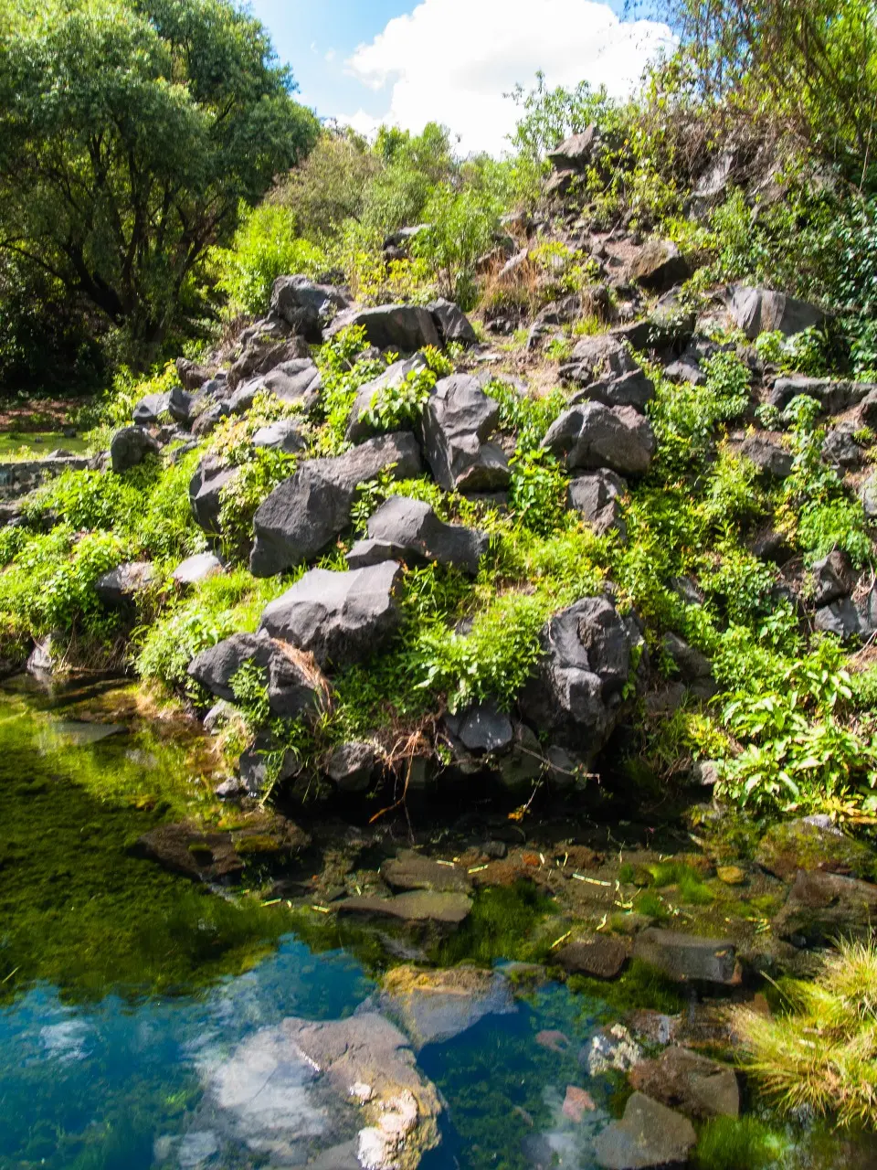 Manantiales en San Pedro Atlixco - 14 de Junio del 2012 | Colecciones multimedia | Atlixco.social