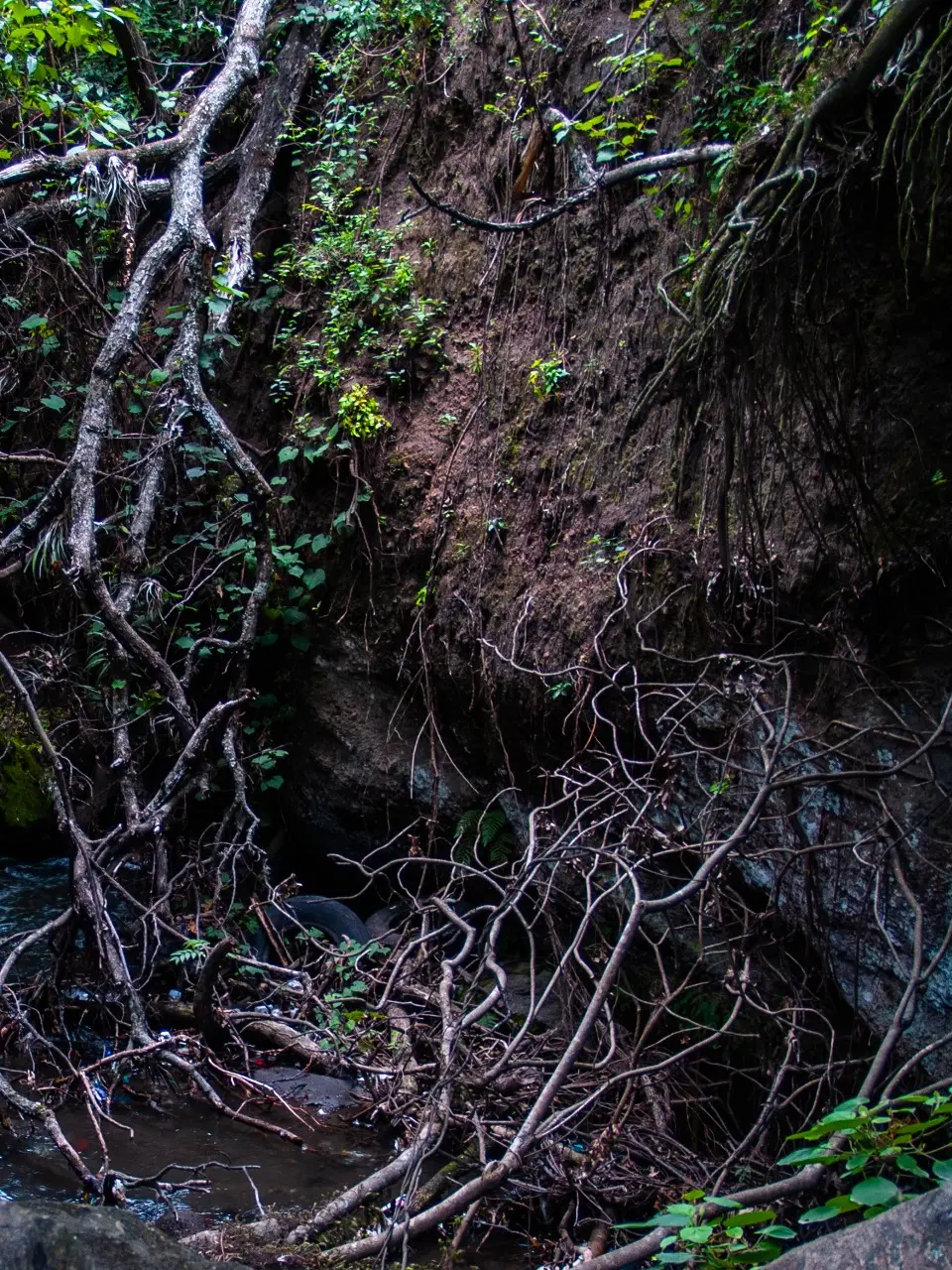 Manantiales en San Pedro Atlixco - 14 de Junio del 2012 | Colecciones multimedia | Atlixco.social