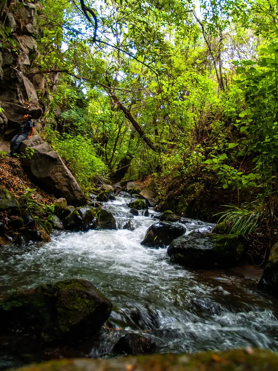 Manantiales en San Pedro Atlixco - 14 de Junio del 2012 | Colecciones multimedia | Atlixco.social