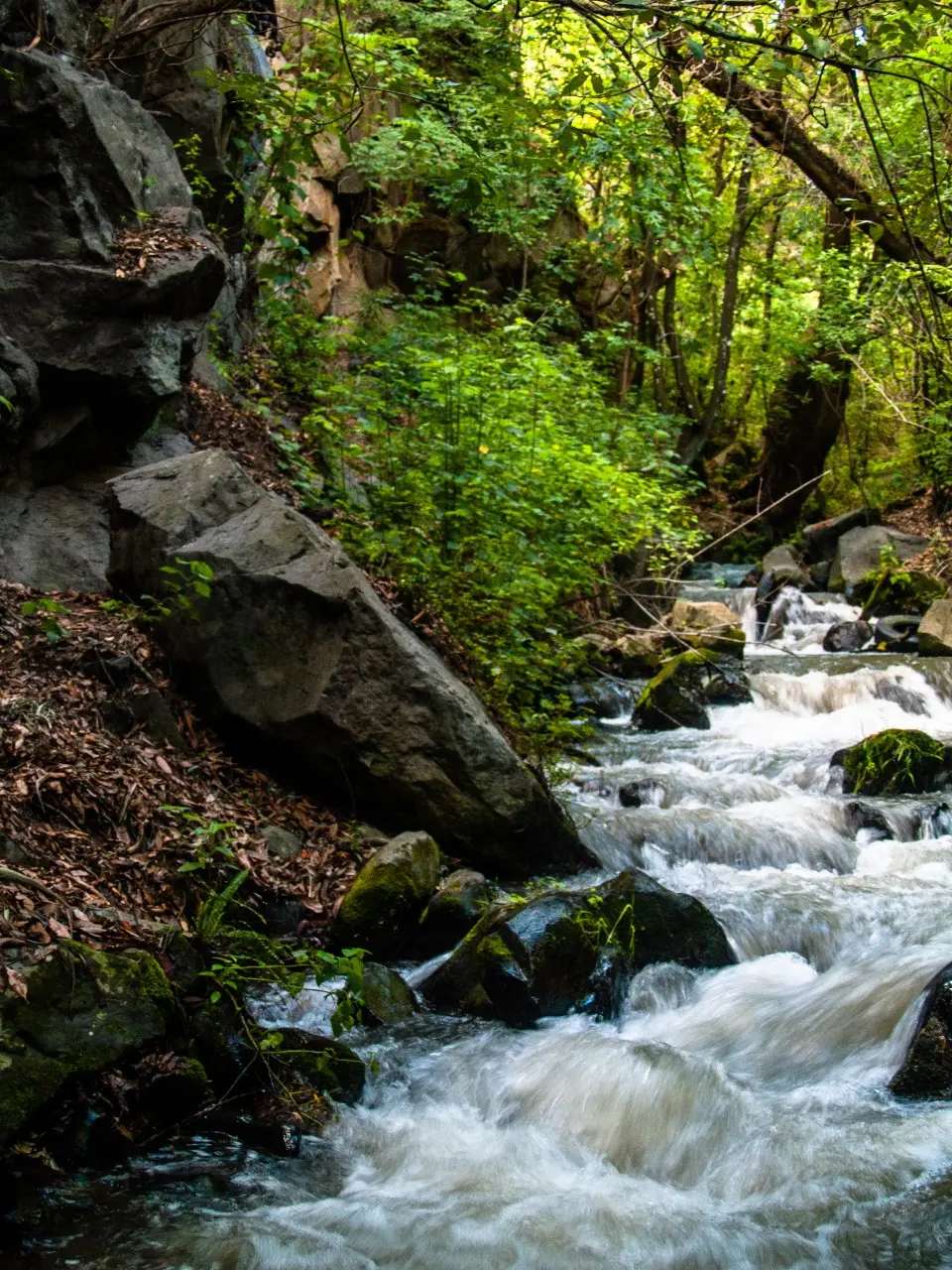 Manantiales en San Pedro Atlixco - 14 de Junio del 2012 | Colecciones multimedia | Atlixco.social