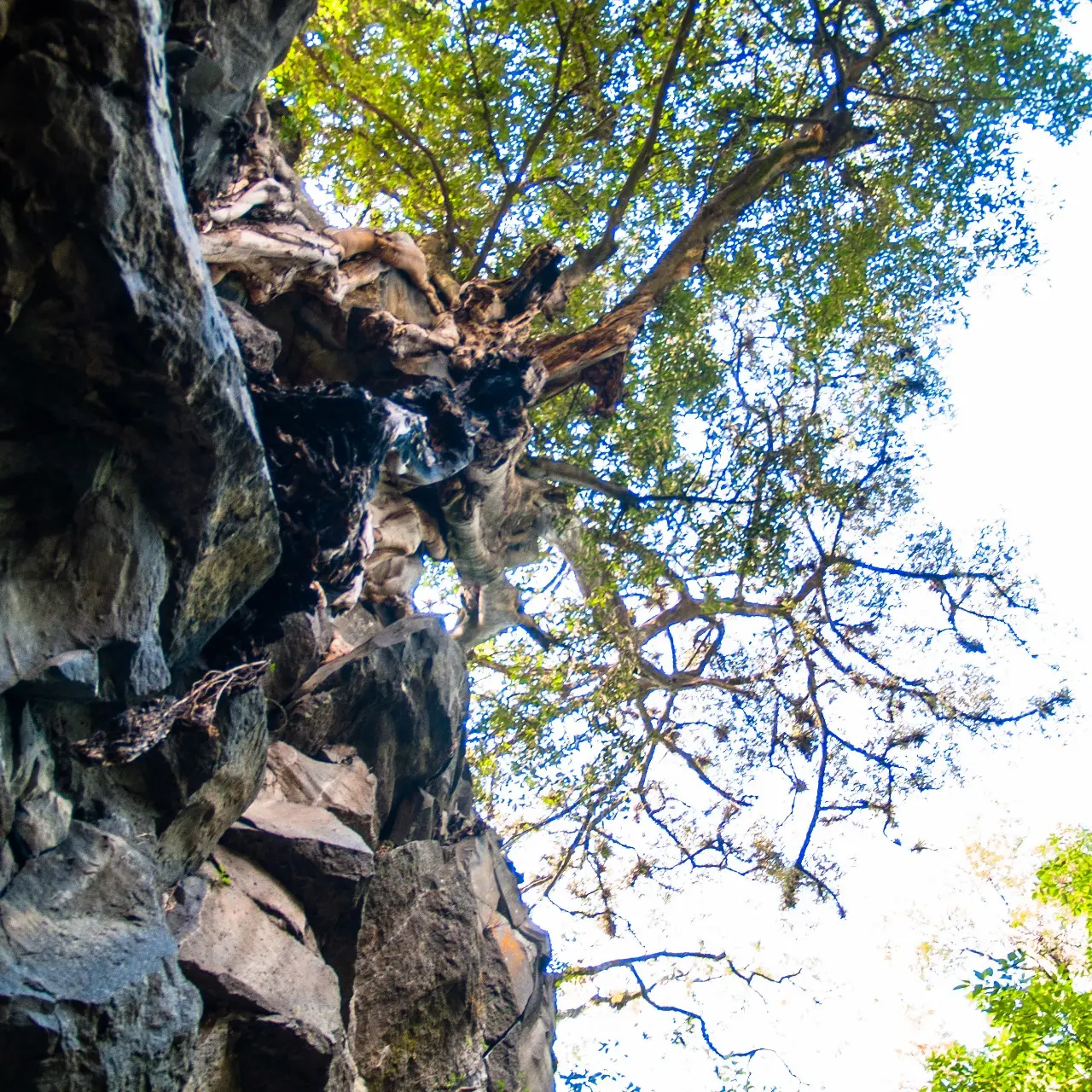 Manantiales en San Pedro Atlixco - 14 de Junio del 2012 | Colecciones multimedia | Atlixco.social