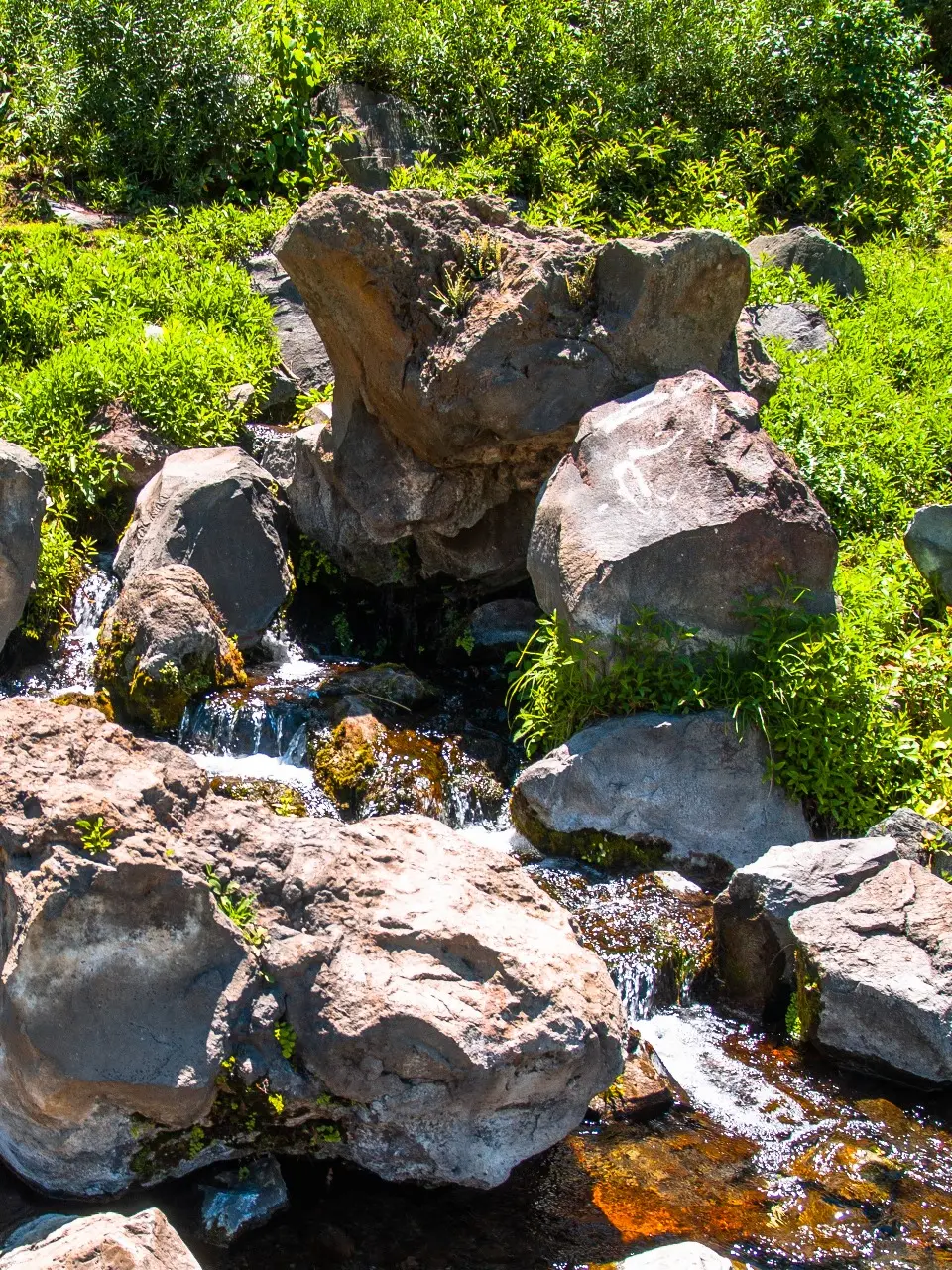 Manantiales en San Pedro Atlixco - 14 de Junio del 2012 | Colecciones multimedia | Atlixco.social