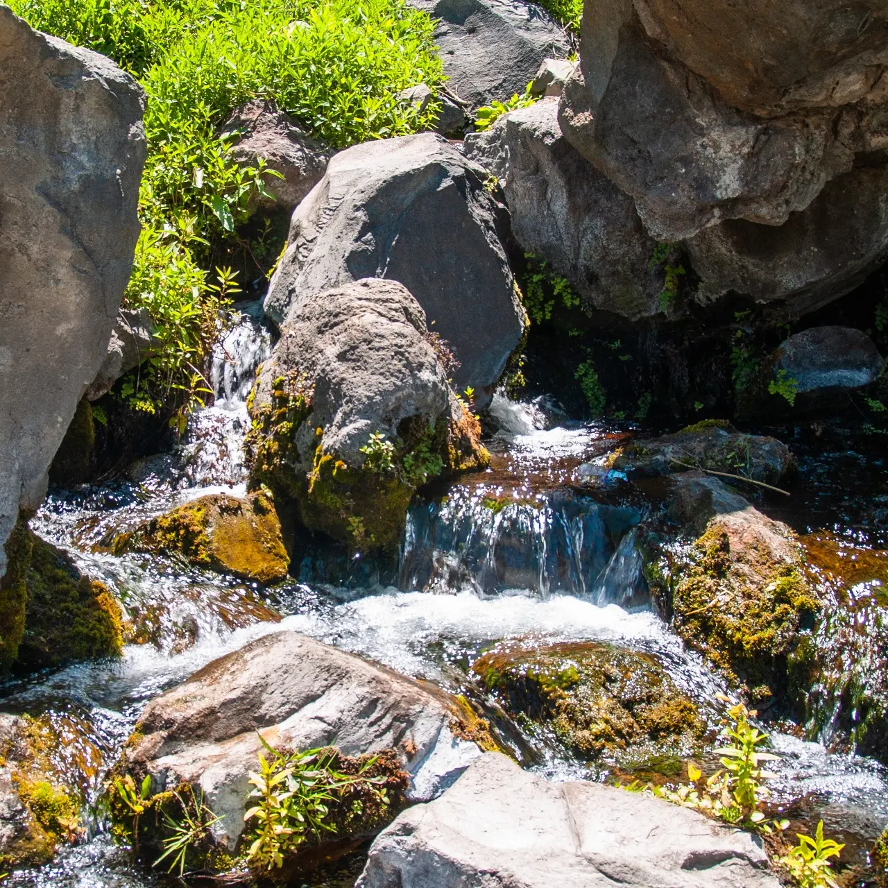 Manantiales en San Pedro Atlixco - 14 de Junio del 2012 | Colecciones multimedia | Atlixco.social